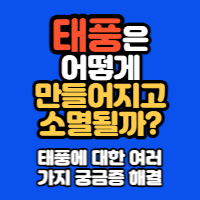  태풍은 어떻게 만들어지고 소멸될까? 태풍에 대한 여러 가지 궁금증 해결