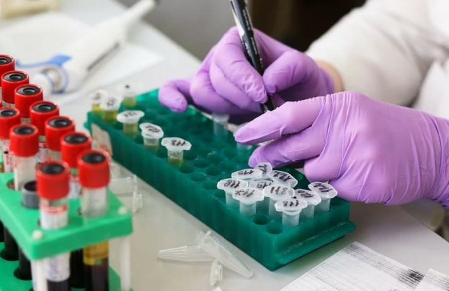 보건소, 의료기술직 공무원 취업, 임상병리사 취업 - 6