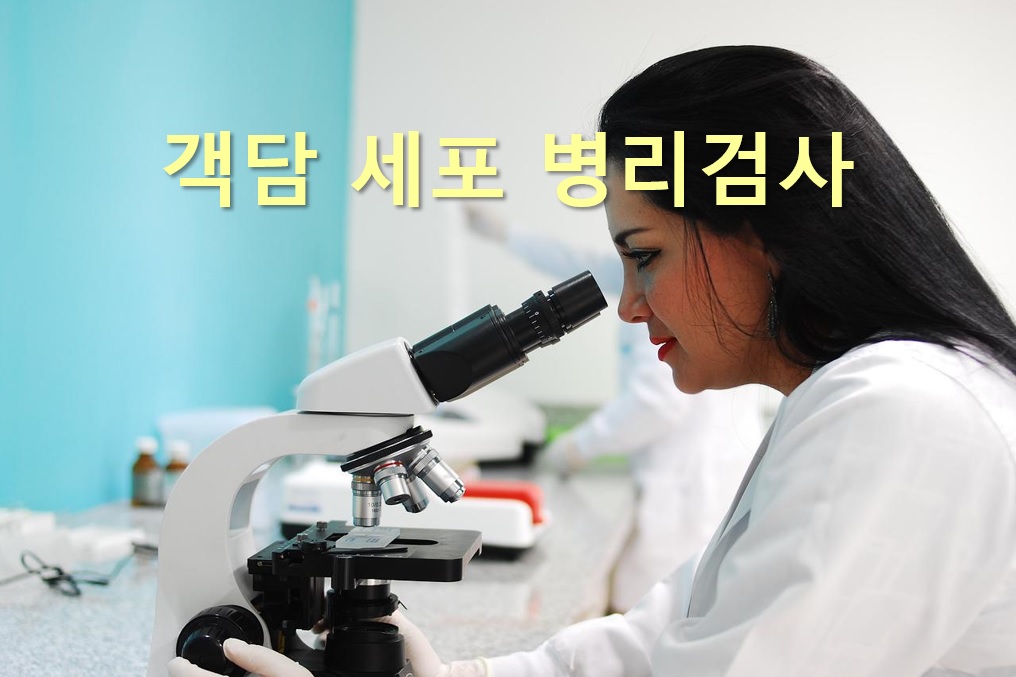  객담 세포 병리검사 방법과 가래를 유발하는 질환