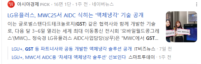액침냉각-대장주