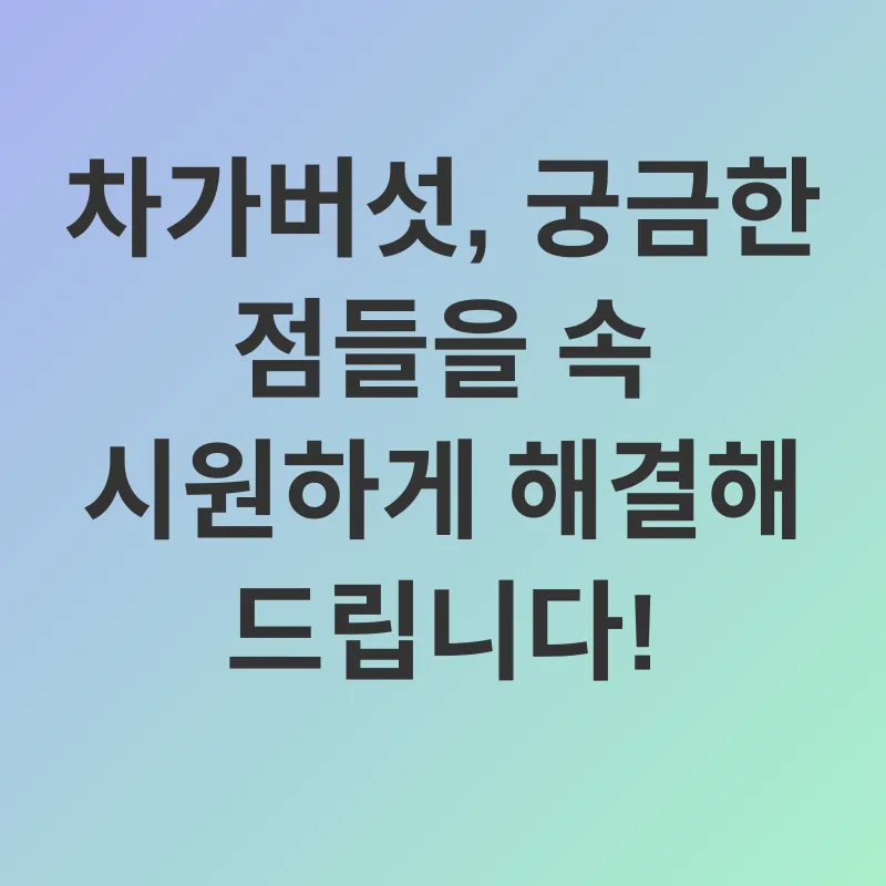 차가버섯 효능_4