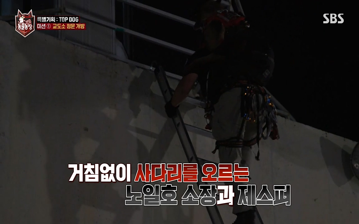 TV 동물농장.E1085.220905p-NEXT.mp4_20220904_172847.125.jpg