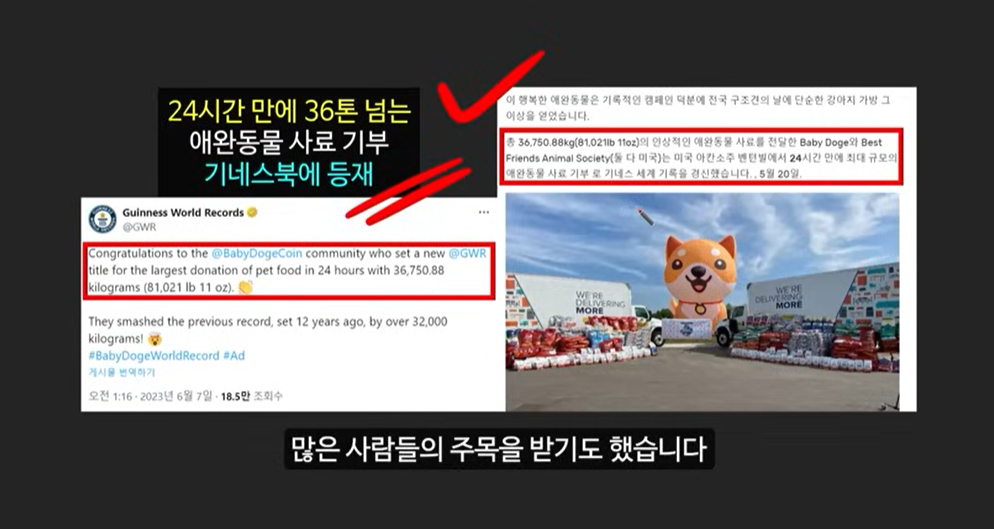 일론 머스크가 주목한 베이비 도지 코인, 급등 가능성은?