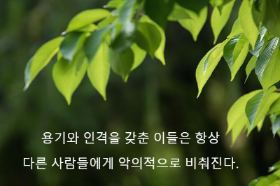 초록색 나뭇잎