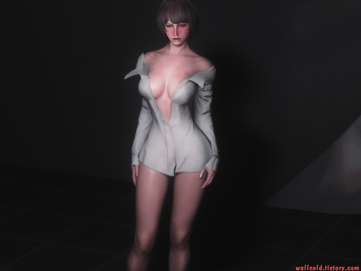 스카이림 의상 - 캐쥬얼 의상 tera blouse clothes skyrim mod 002