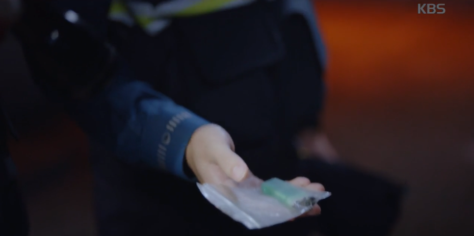 무렵 장난 정체 동백꽃 32