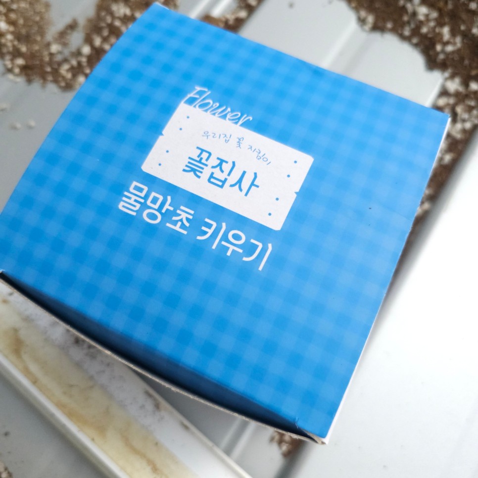 꽃집사 이미지