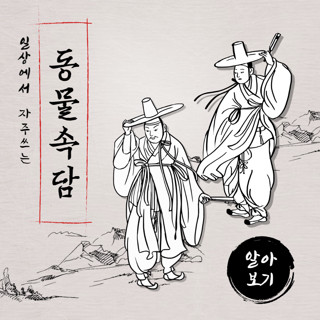  [동물 속담] 자주사용하는 동물 관련 속담 42가지