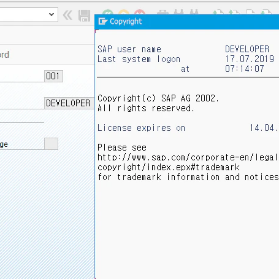 무료 SAP 설치 ABAP 개발 시작하기 총 정리