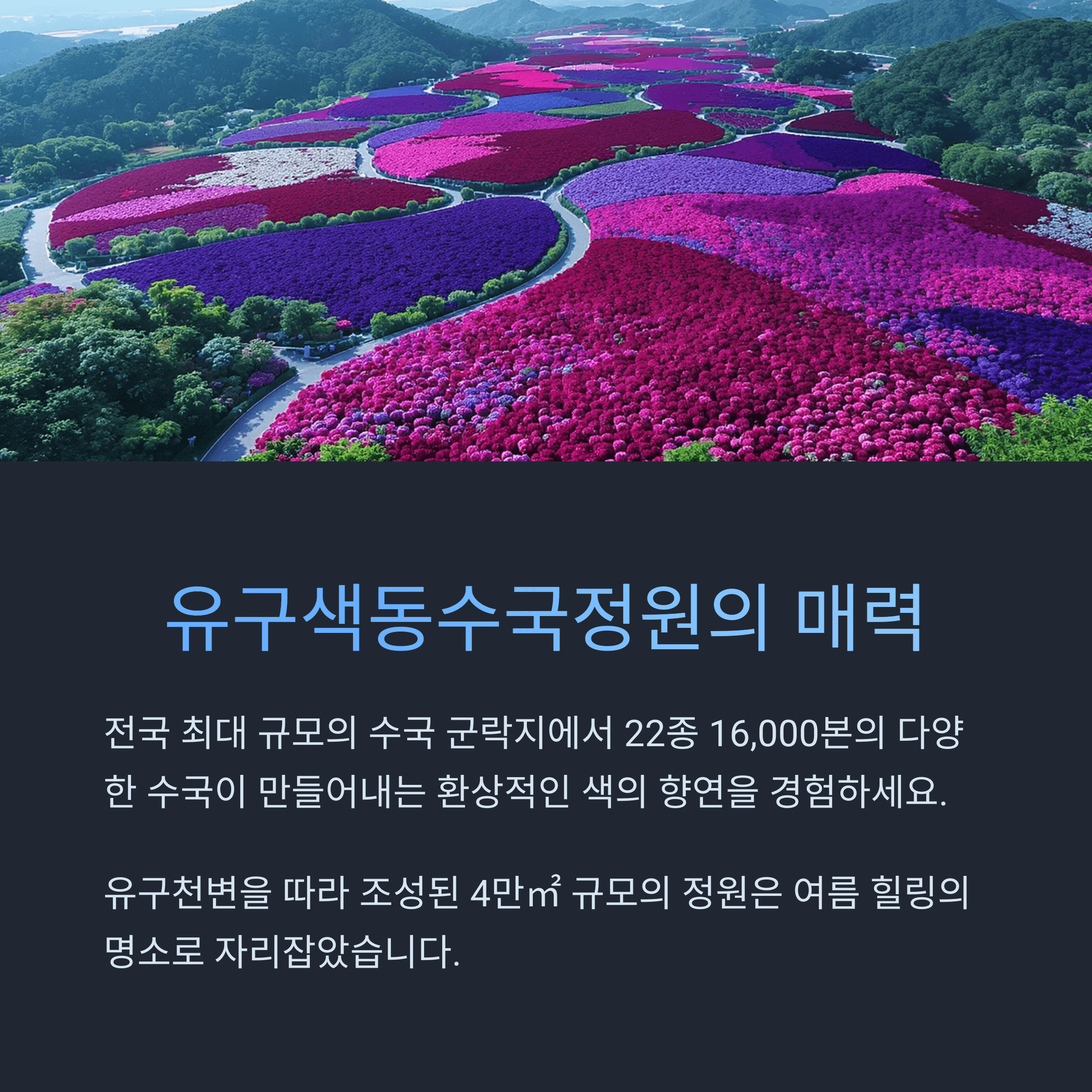 공주 유구 색동수국정원꽃축제 일정 일정 입장료 할인