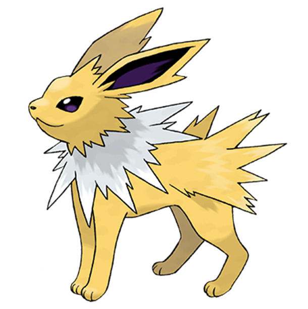  [포켓몬도감]  No. 135 쥬피썬더 Jolteon #135