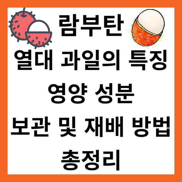 🥭람부탄 - 열대 과일의 특징, 영양 성분, 보관 및 재배 방법 총정리