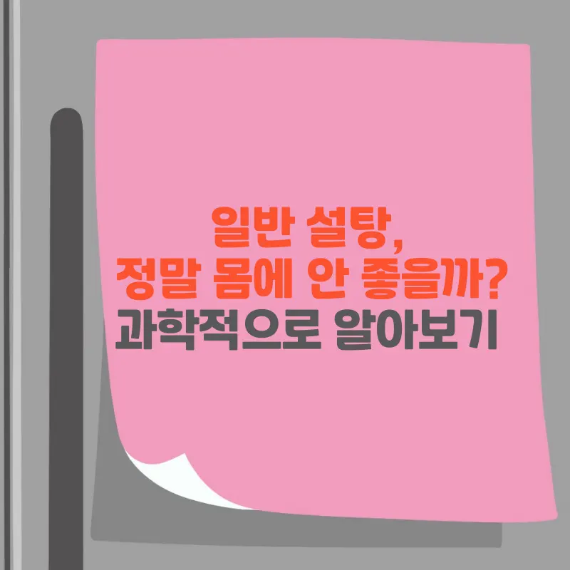 썸네일 일반 설탕, 정말 몸에 안 좋을까? 과학적으로 알아보기