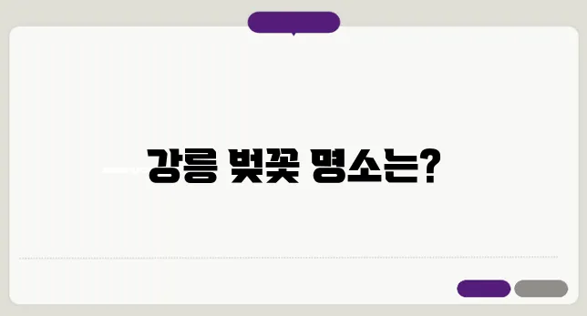 강릉 벚꽃 명소 완벽 안내서: 방문해야 할 곳 리스트로 가득합니다!