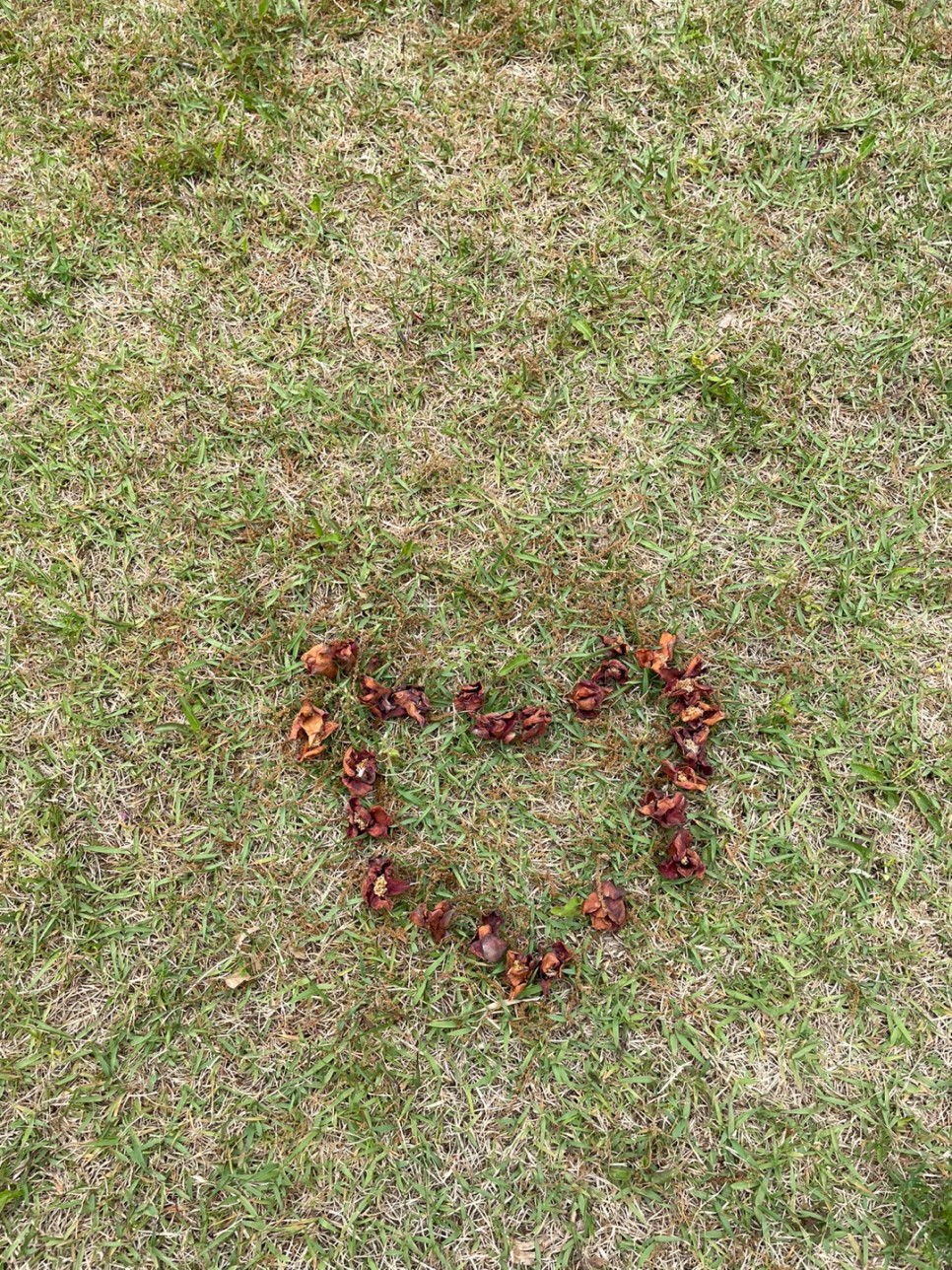 윤스테이 촬영 (구례카페/구례여행) 윤스테이 촬영장소, 10