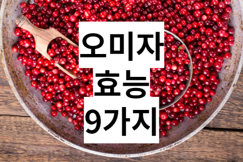 오미자 효능 9가지 총정리