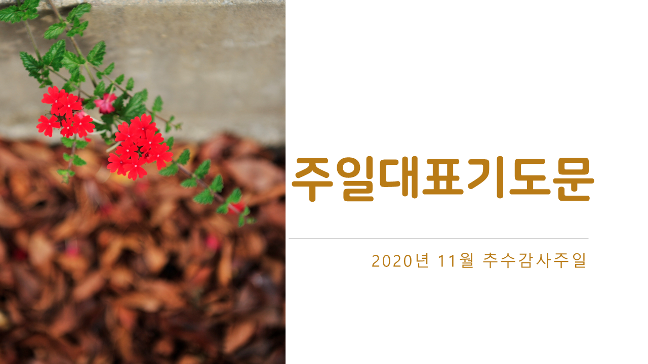  11월 대표기도문, 2020년 11월 셋째 주, 추수감사절 기도문