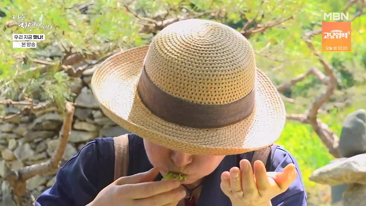 나는 자연인이다.E609.240613p-NEXT.mp4_20240613_195116.072.jpg