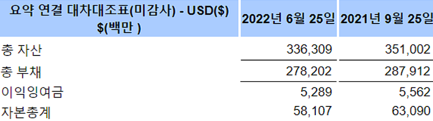 애플 22년 3분기 대자대조표