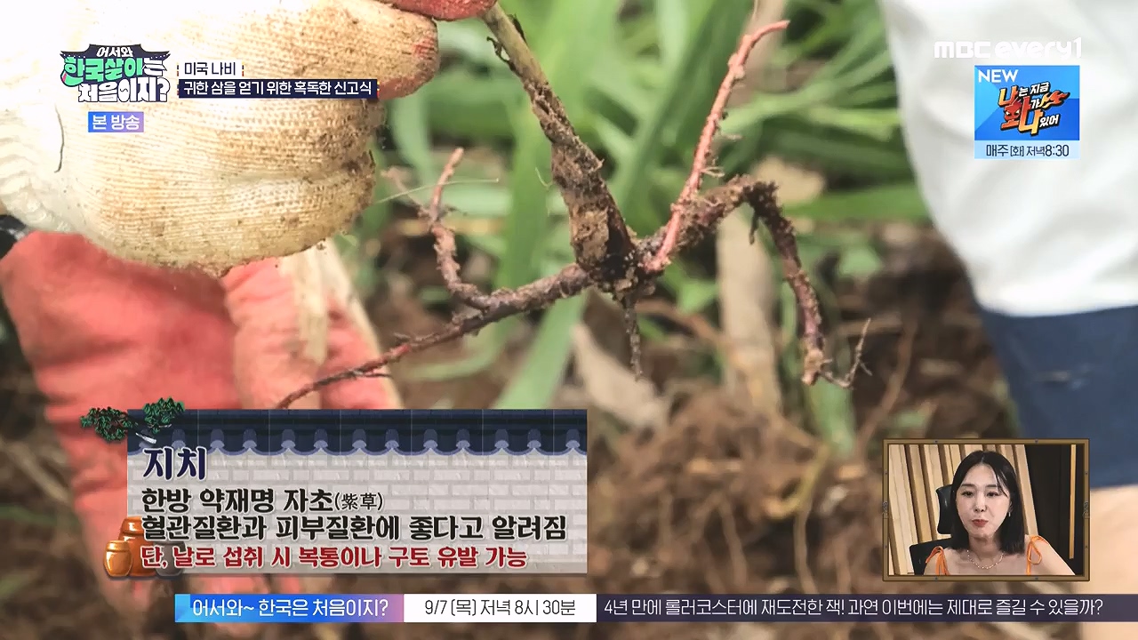 어서와 한국살이는 처음이지.E16.230905p-NEXT.mp4_20230906_204043.965.jpg