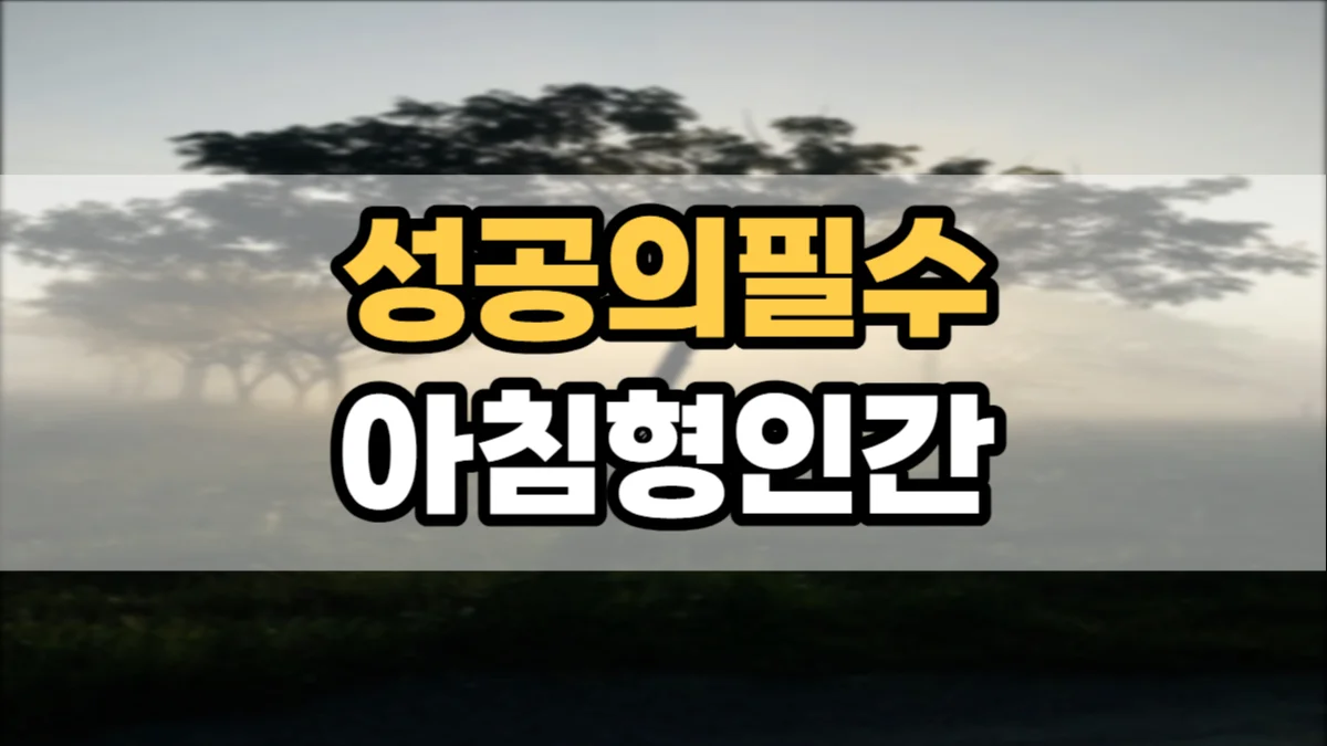 아침형 인간