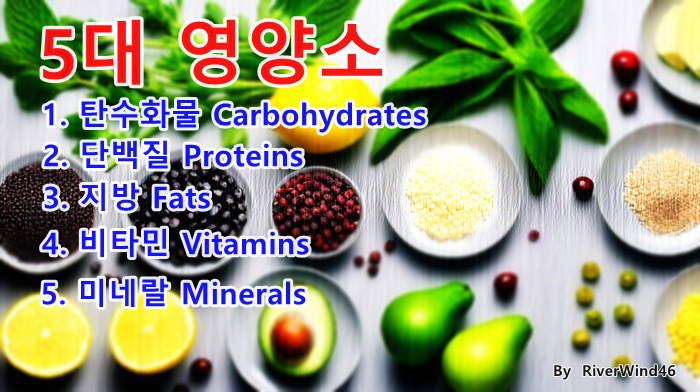 5대 영양소 Five major nutrients