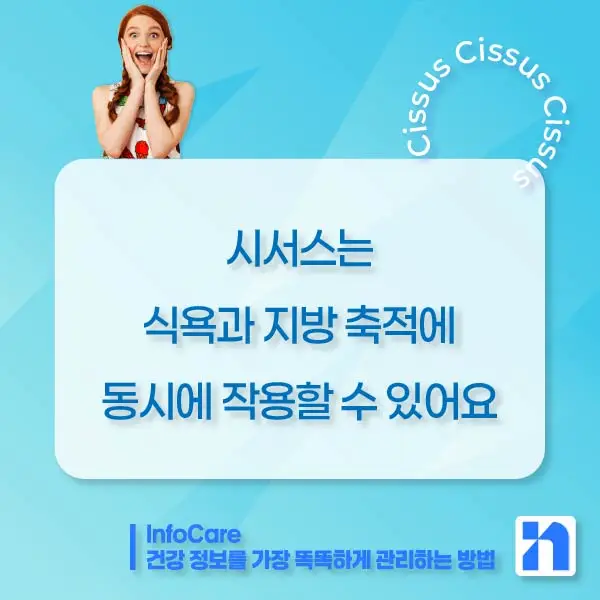 시서스 다이어트&amp;#44; 복용방법