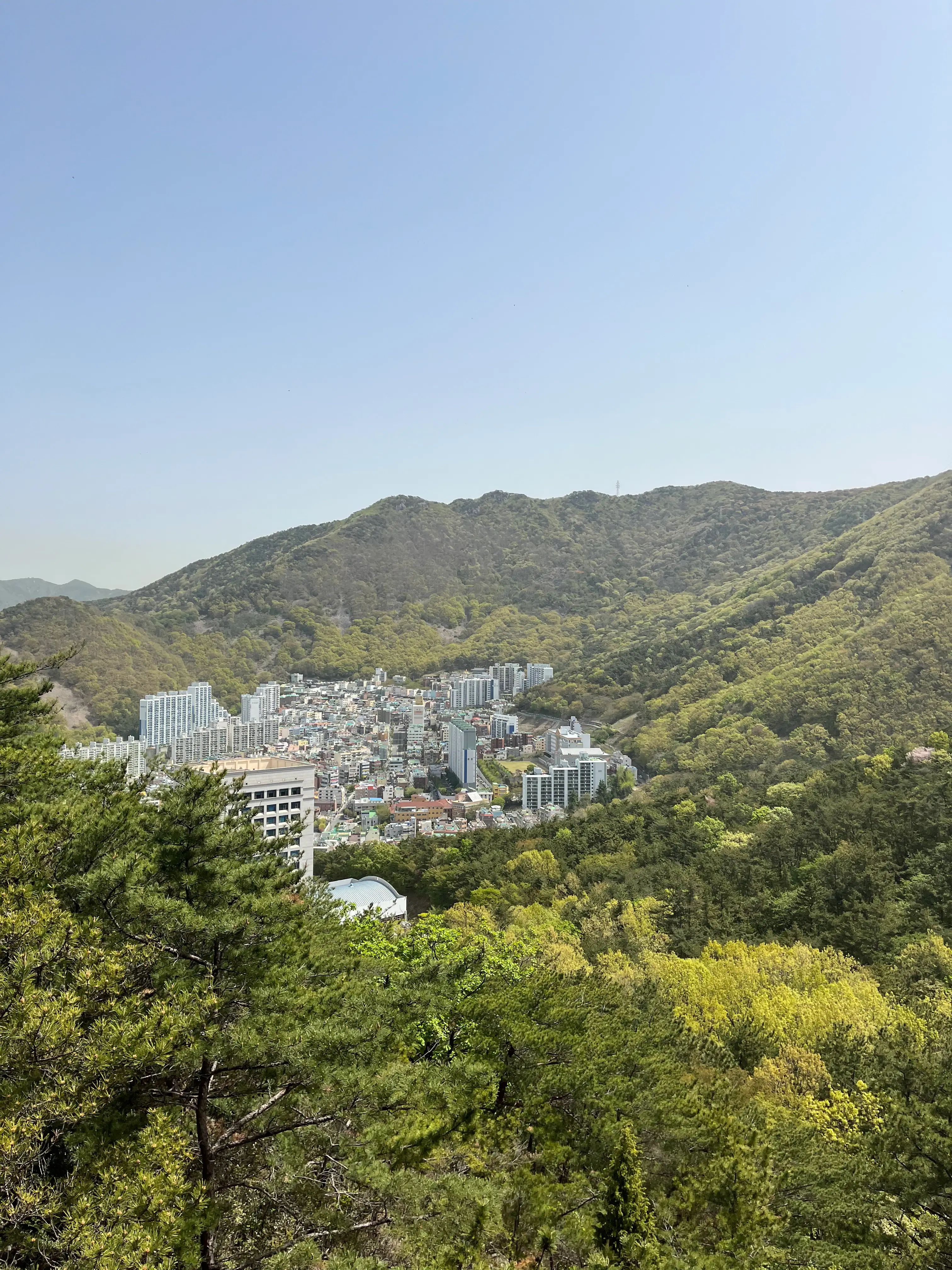 구포무장애숲길4