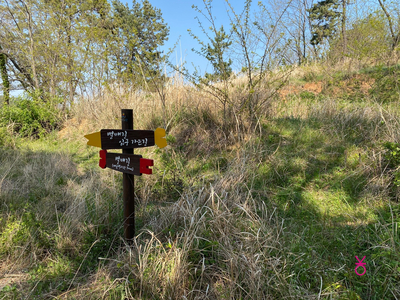 가고싶은 섬 가고싶은섬, 꼬막길과 뻘배길이 36