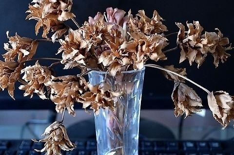 조화 풍수인테리어