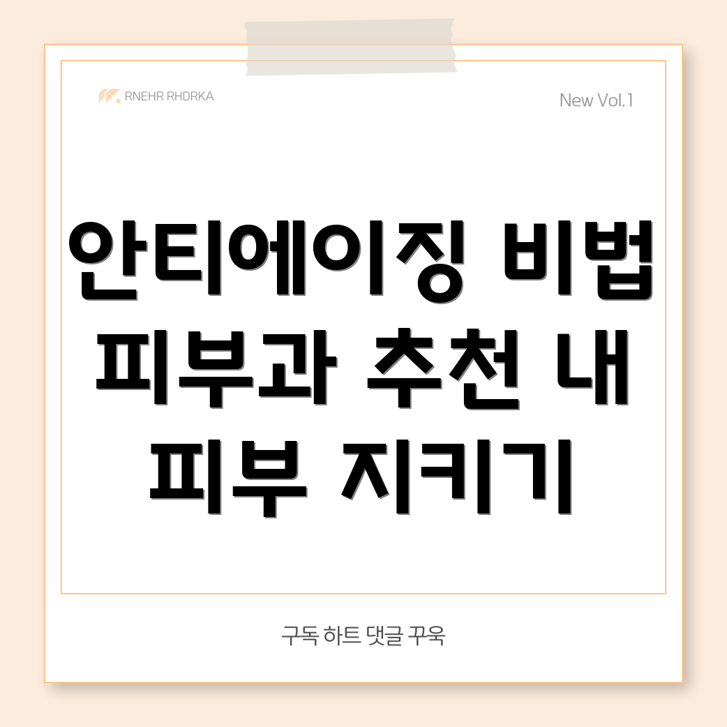 안티에이징 치료