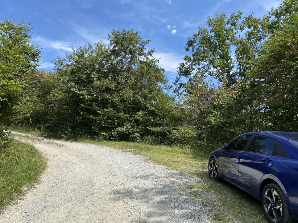 홍길동이 다녀간 7