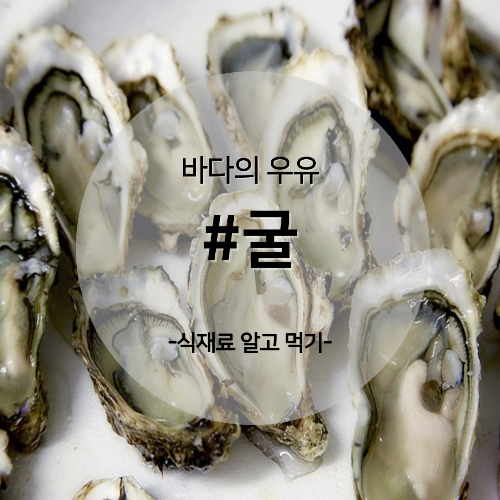  알고 먹기 22. #굴