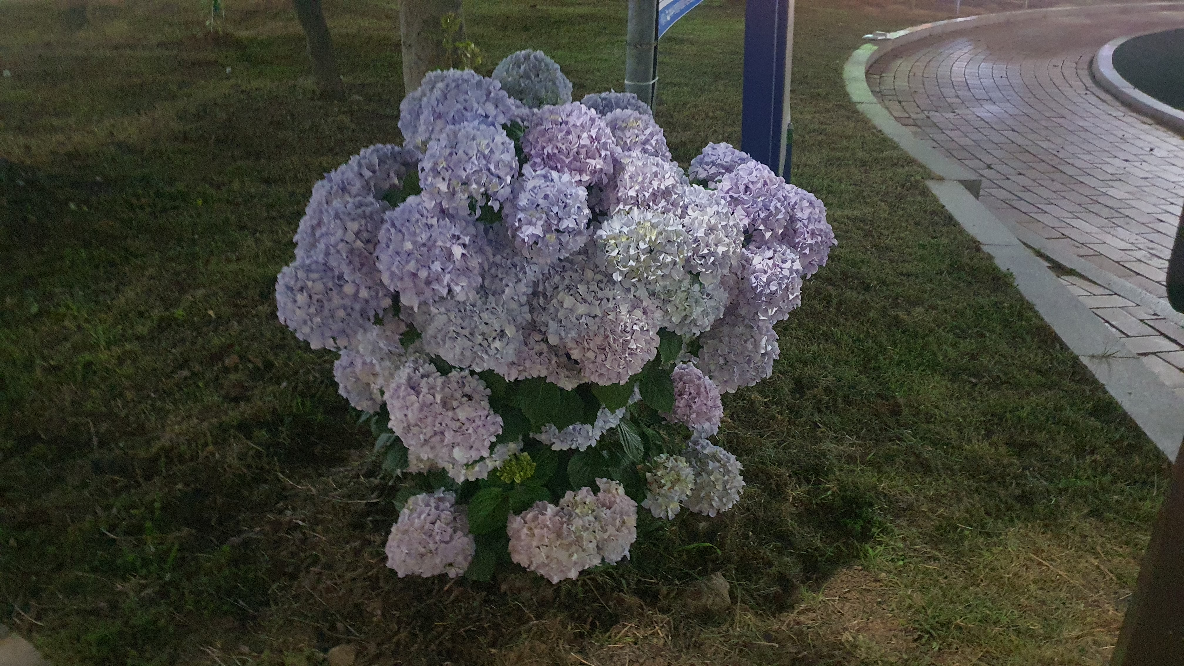 여수 낭만포차거리, 하멜등대, 거북선대교, 돌산대교