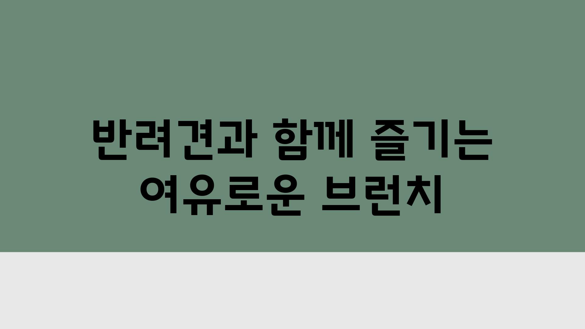 반려견과 함께 즐기는 여유로운 브런치