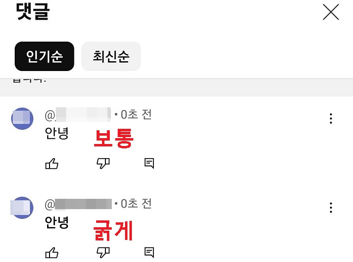 보통 글씨와 굵은 글씨가 동시에 보임