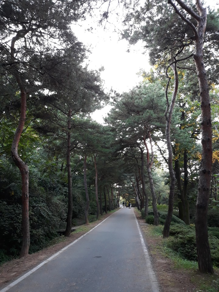  (고졸 취업성공) 돈 벌었어요! 도서출판