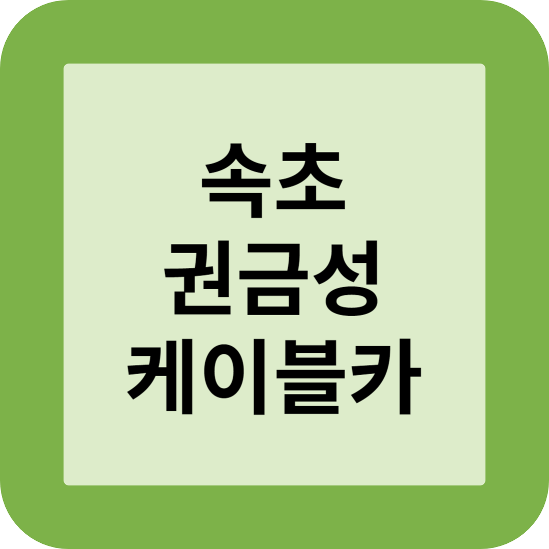 속초 권금성 케이블카