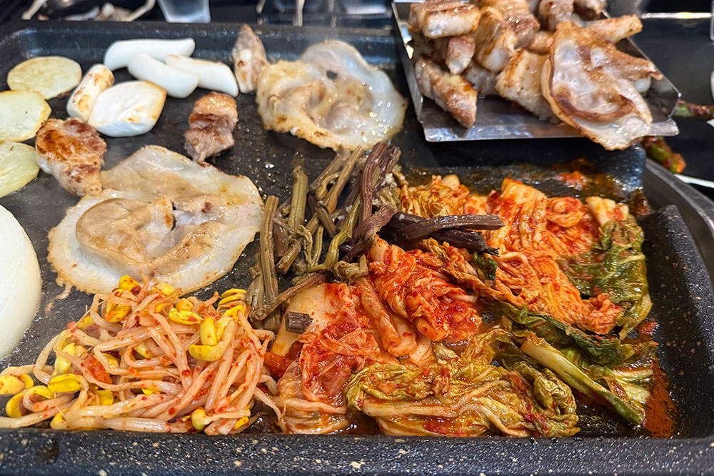뚱돼지 5