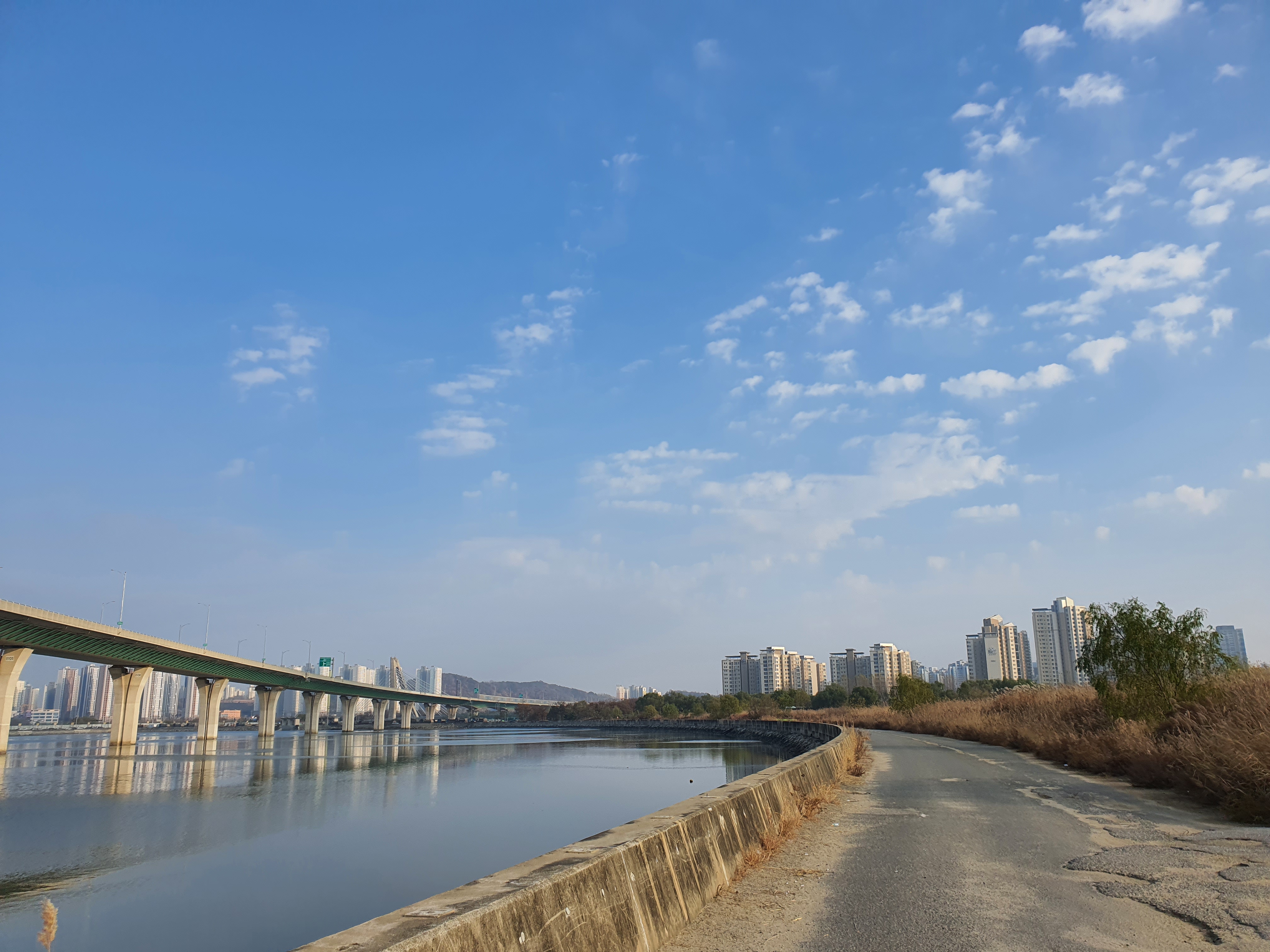  초겨울 송도 달빛축제공원은 어떤 색깔일까?