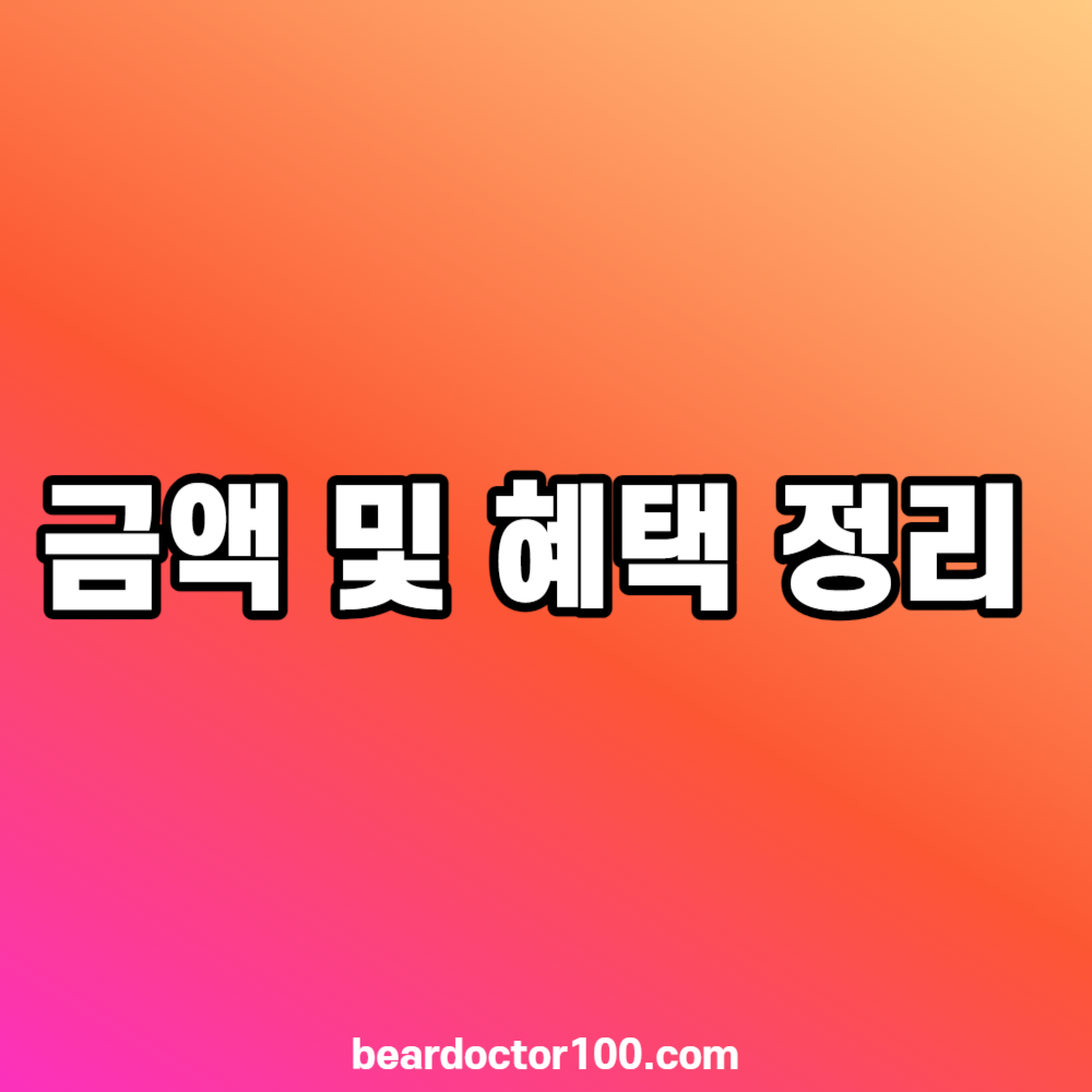 금액 및 혜택 정리