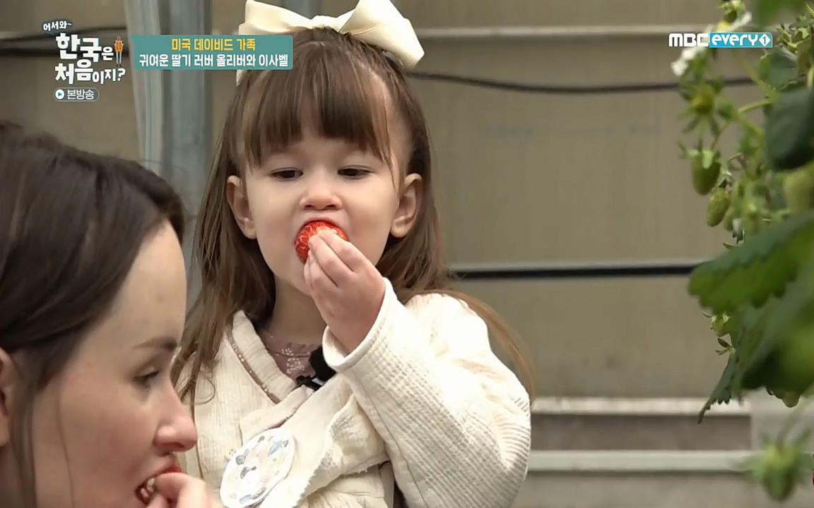 어서와 한국은 처음이지 시즌2.E206.220415p-NEXT.mp4_20220415_181247.104.jpg