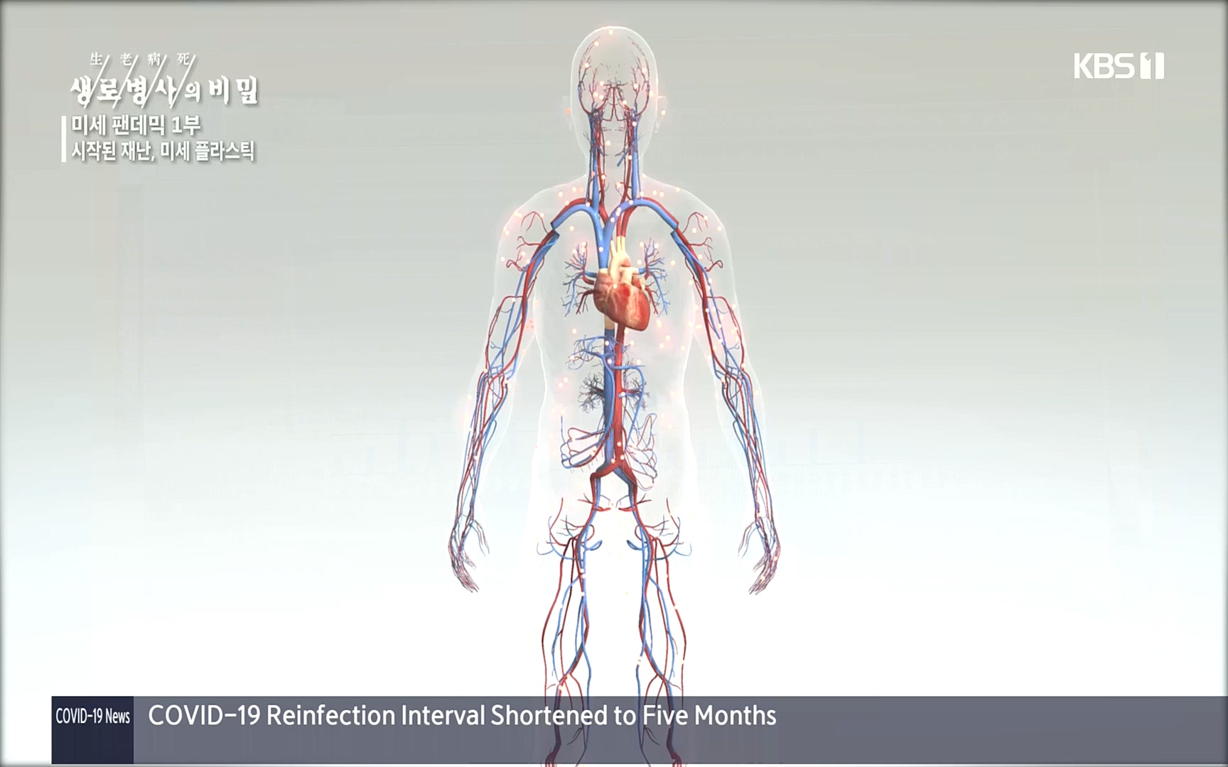 생로병사의 비밀.E839.221012p.H264-F1RST.mp4_20221013_205057.968.jpg
