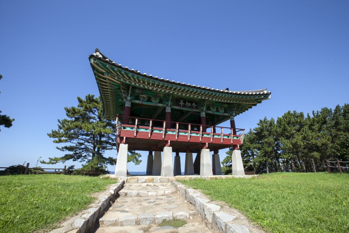 서천 마량리 동백나무숲 동백꽃구경