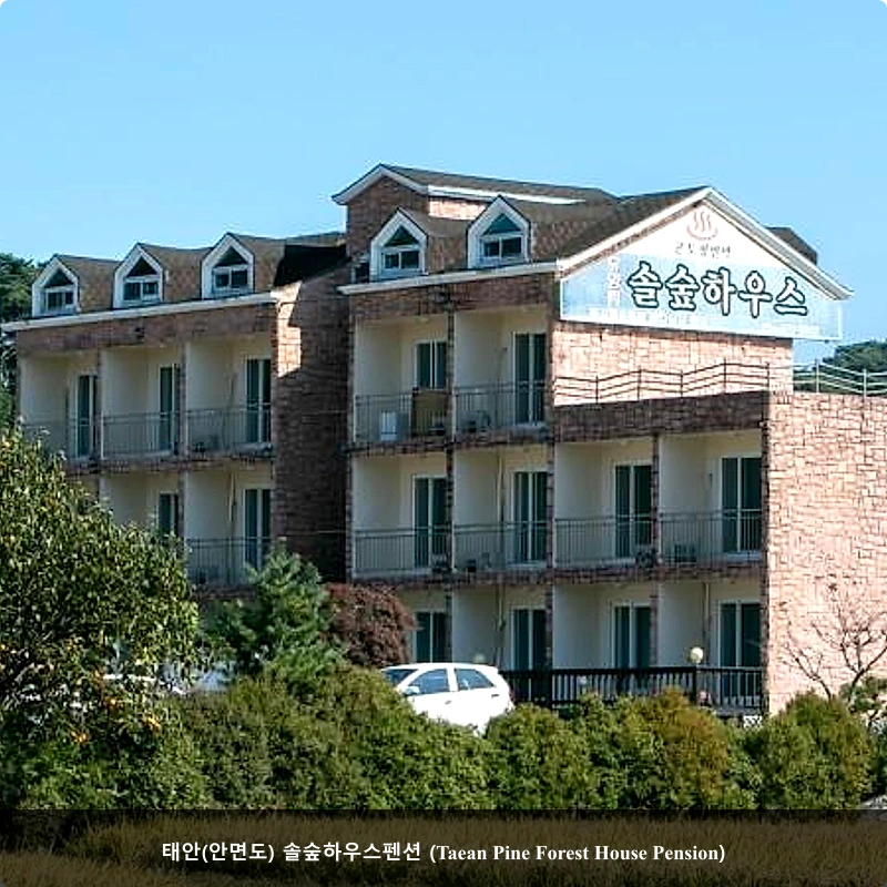 태안(안면도) 솔숲하우스펜션 (Taean Pine Forest House Pension)_1