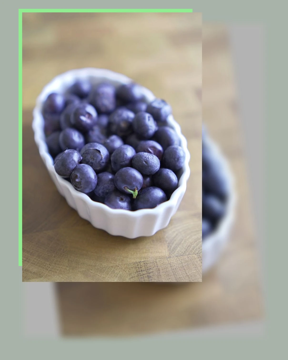 항산화_1_subsection
