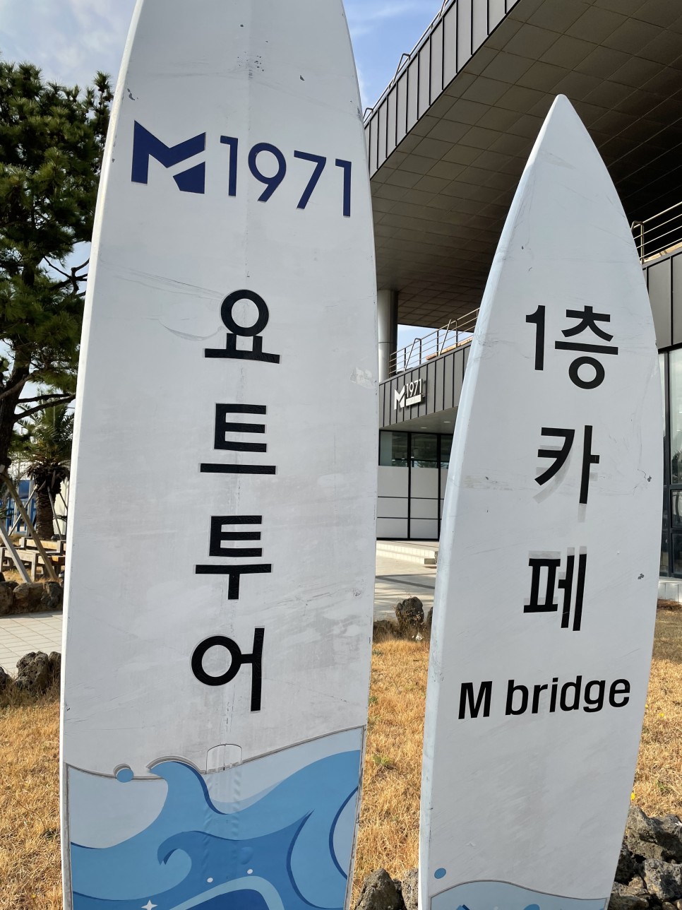 겨울 여행지 겨울 국내 여행지 :제주도 3