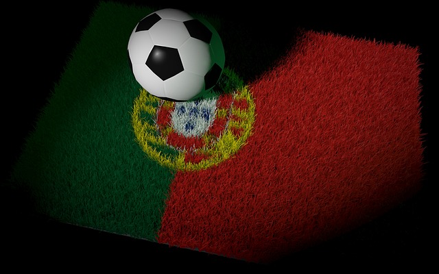 포르투갈 축구사진입니다.