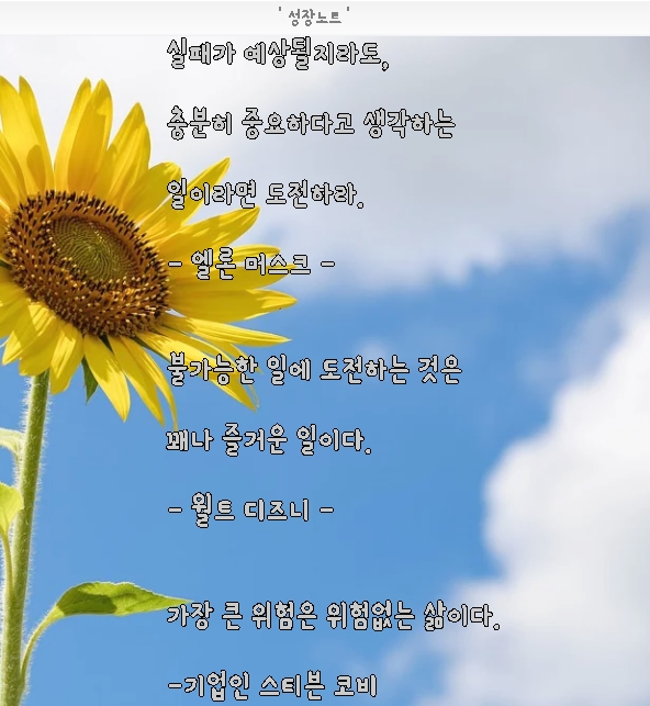 엘론 머스크