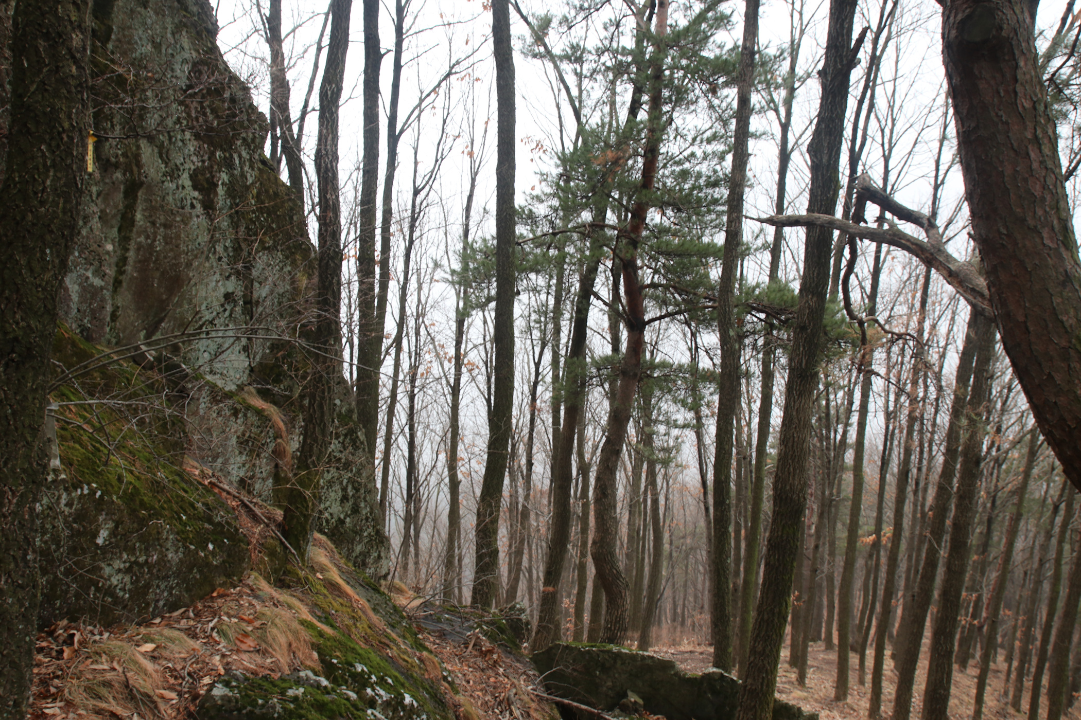 경남 의령군 국사봉 05 23